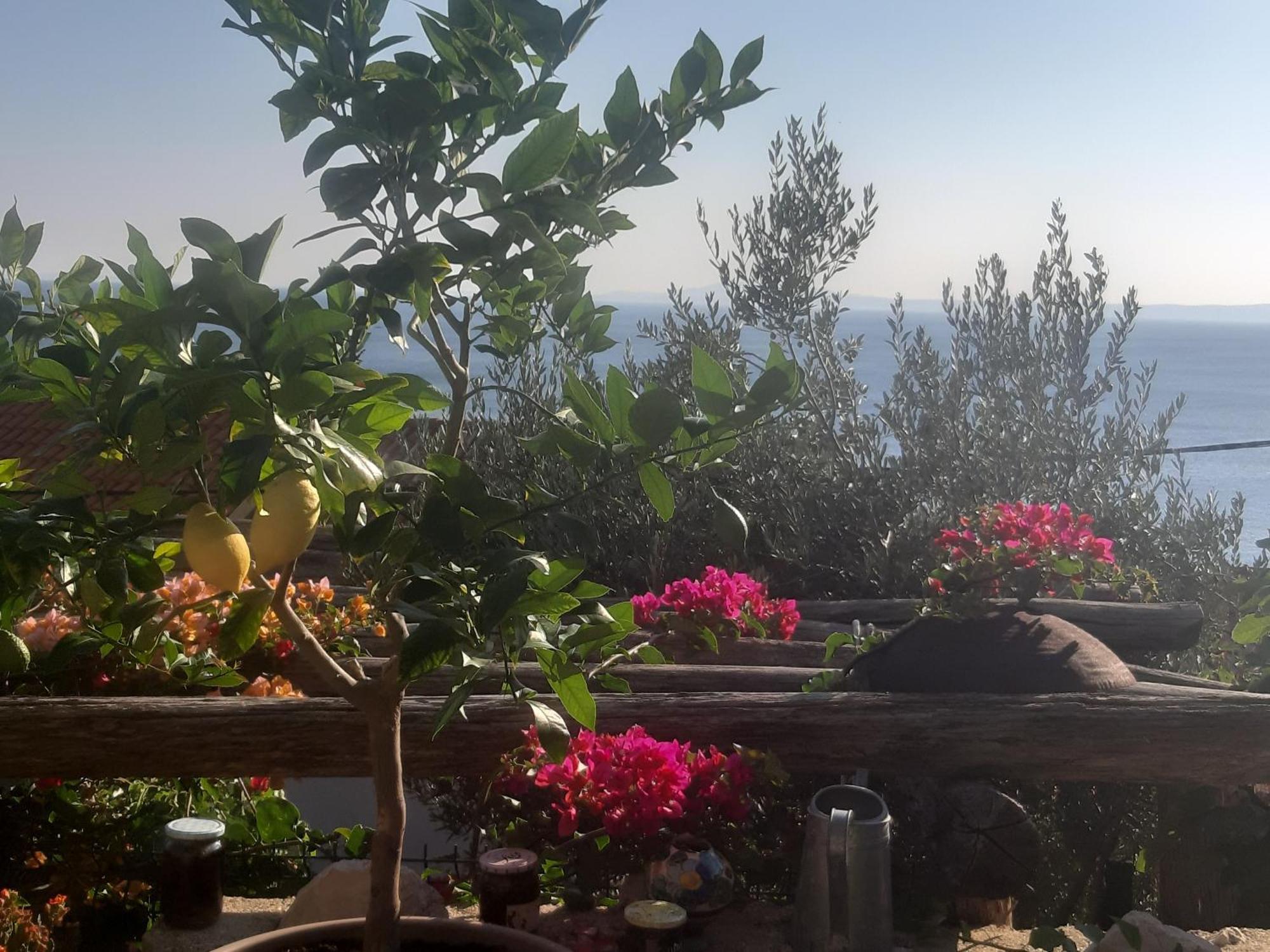 Apartament Libera1 Stara Baška Zewnętrze zdjęcie